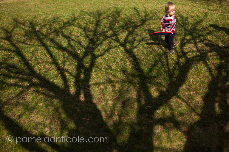 pittsburgh fine art photographer, tree shadow