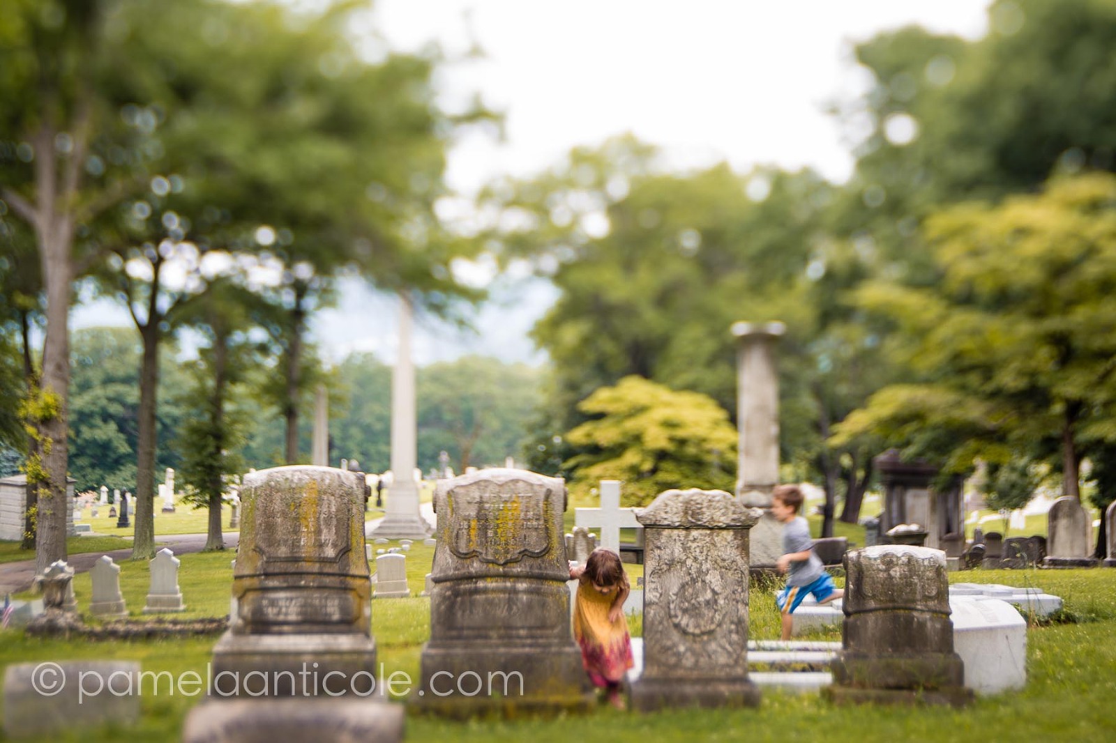 allegheny cemetery pittsburgh fine art print