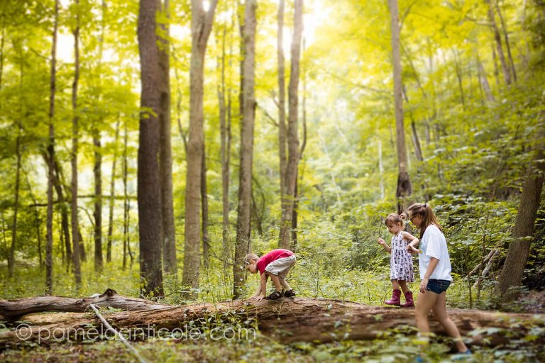 kids hike in the woods over a tree