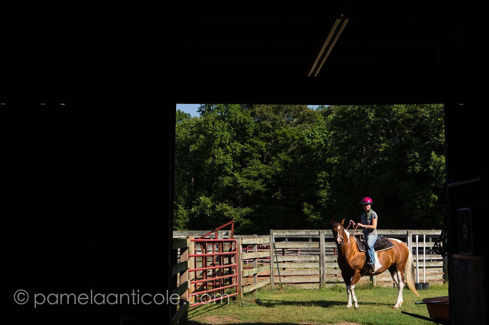 riding a horse through the barn in clemson sc