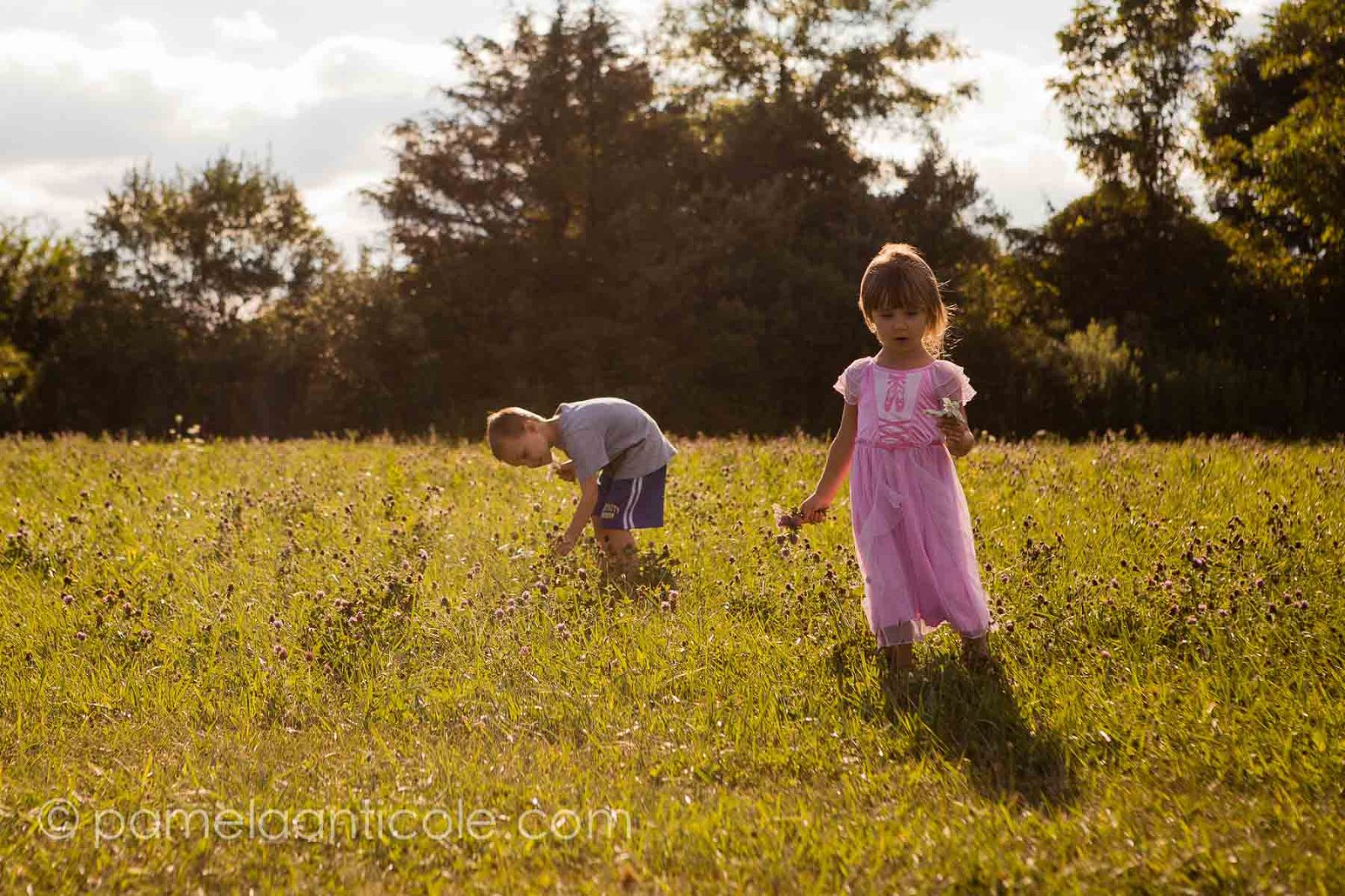 kids walking through a field of wildflowers documentary photographer day in the life pittsburgh