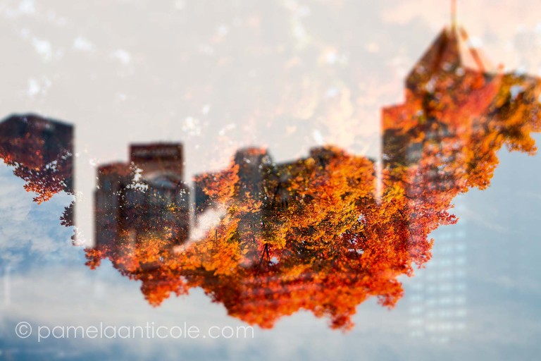 pittsburgh cityscape over autumn fall foliage colors, red, orange, yellow, cityscape, icm, controlled long exposure, pittsburgh, double exposure