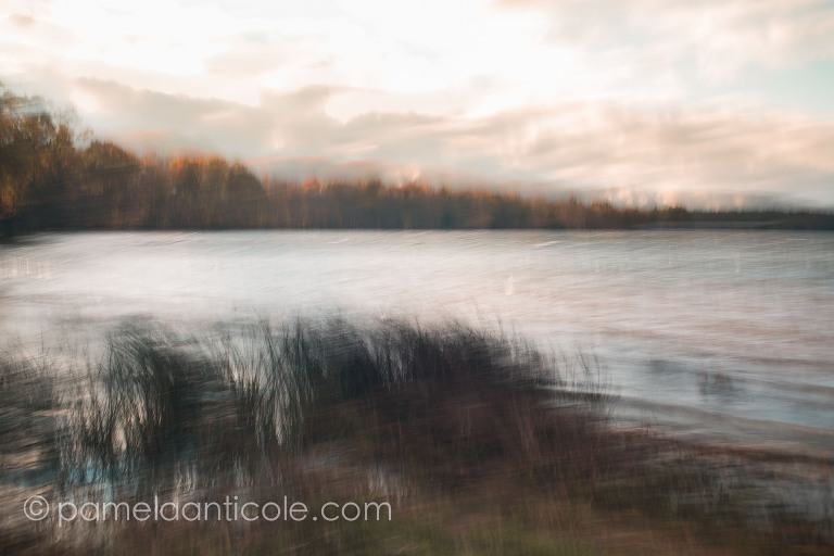 icm fine art print, intentional camera movement, multiple exposure, pittsburgh prints for sale, pamela marie photography, pamela anticole, moraine state park, nature
