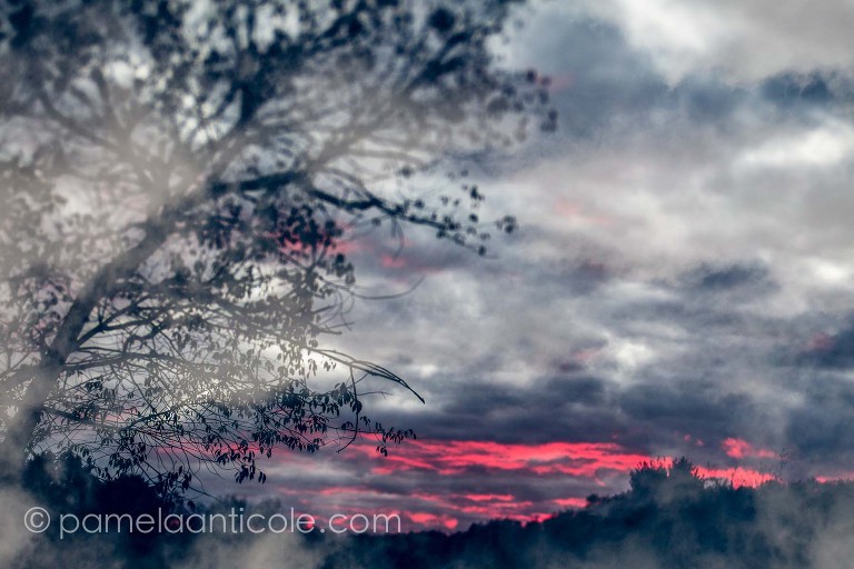 red and black sunset print, eerie, fine art photograph at moraine state park outside of pittsburgh pa, erie