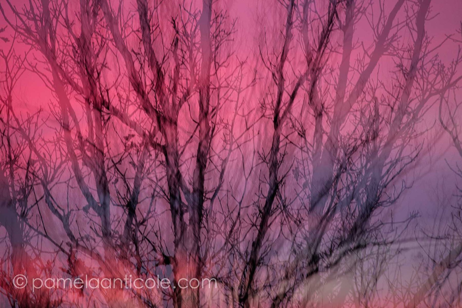 pittsburgh original art, wall print, unique nature art, colorful, pink and purple sunset art