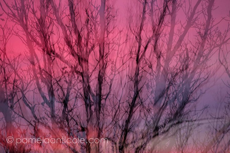 pittsburgh original art, wall print, unique nature art, colorful, pink and purple sunset art