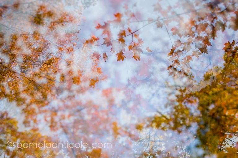 creative nature photography, energy of nature, natural energy photography project, gift for nature lover