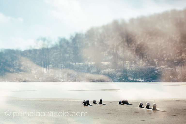 pittsburgh original art, nature art print, icy photography