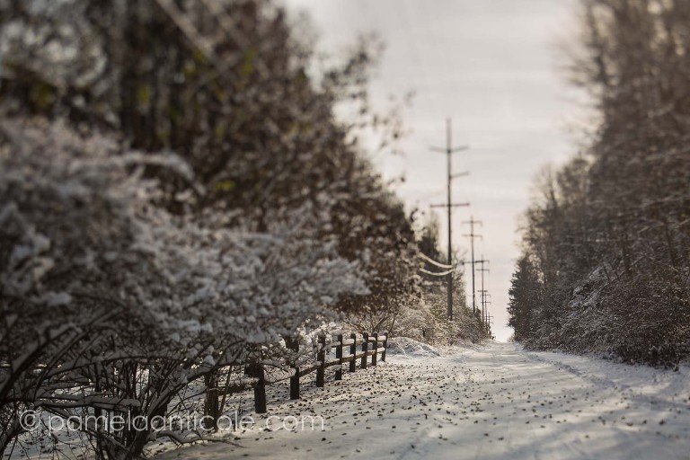unique pittsburgh winter art, original artist from pittsburgh, wall print for sale, creative winter nature photography