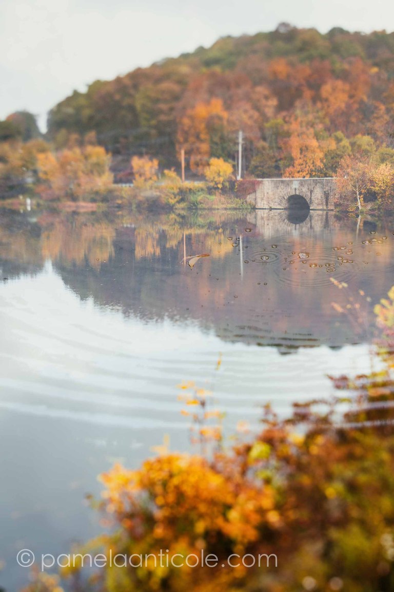 creative nature landscape, unique wall art photography, original pittsburgh artist
