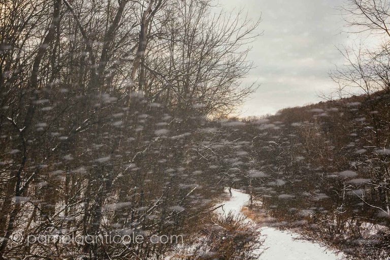 abstract winter scene, pittsburgh original artist, unique nature art, intentional camera movement, double exposure