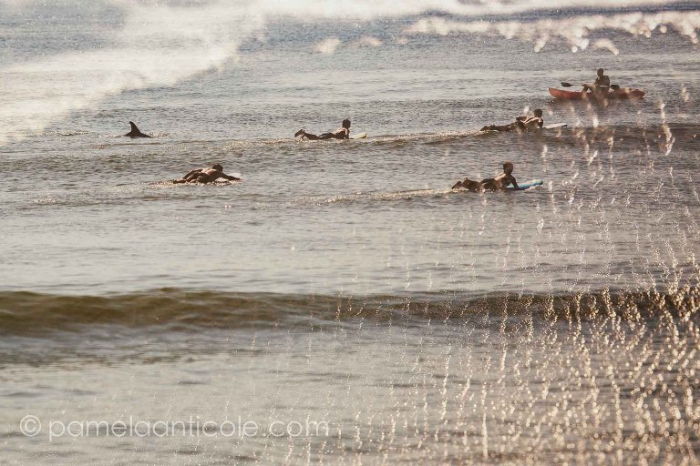 surfers swimming in the beach, dolphin fins, abstract double exposure fine art print, beach art print, unique, warm, thought provoking