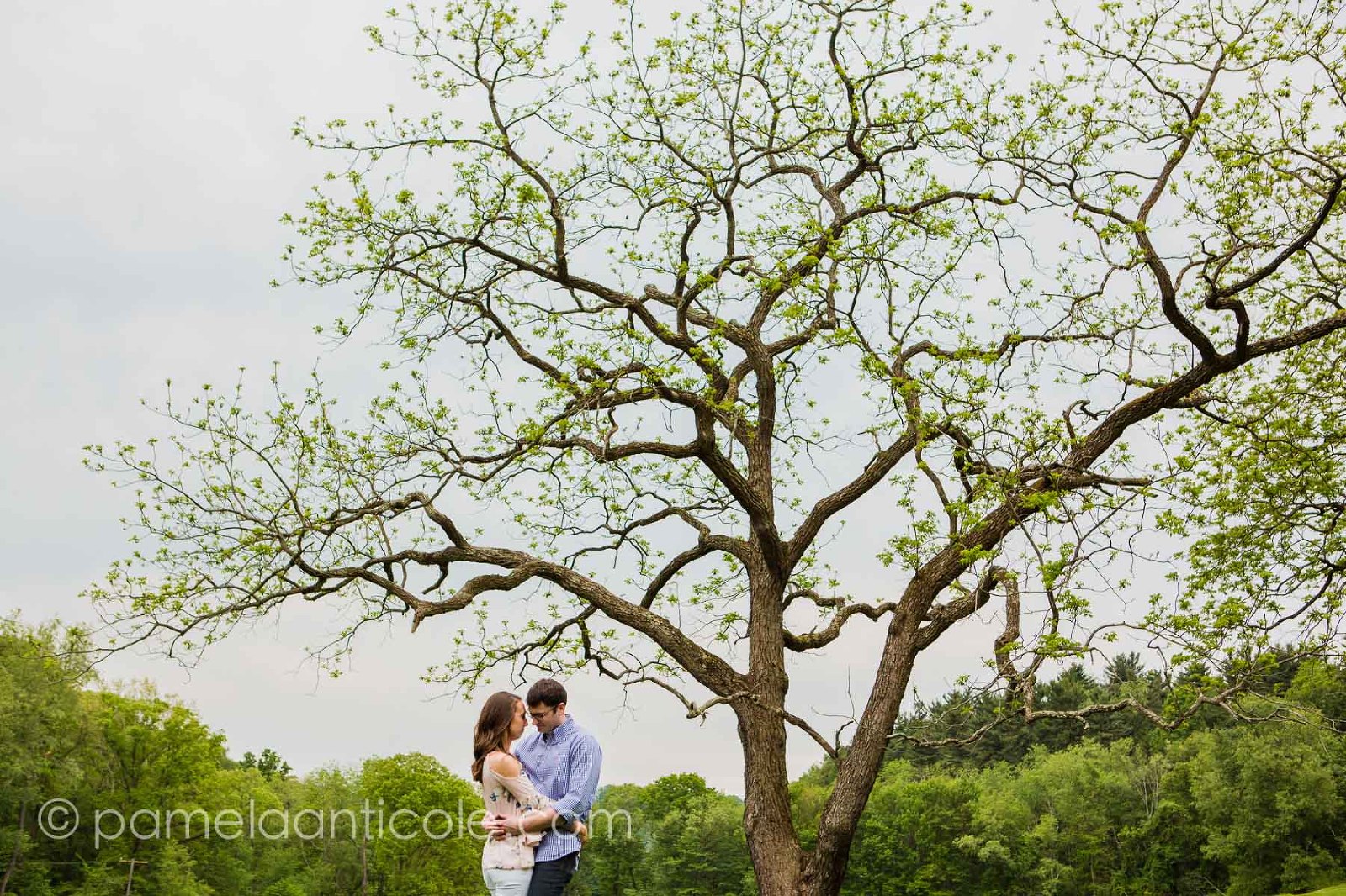 artistic bride and groom photo under a tree, experienced pittsburgh wedding photographer, relaxed engagement photos in pittsburgh, relaxed wedding photos, hartwood acres engagement session