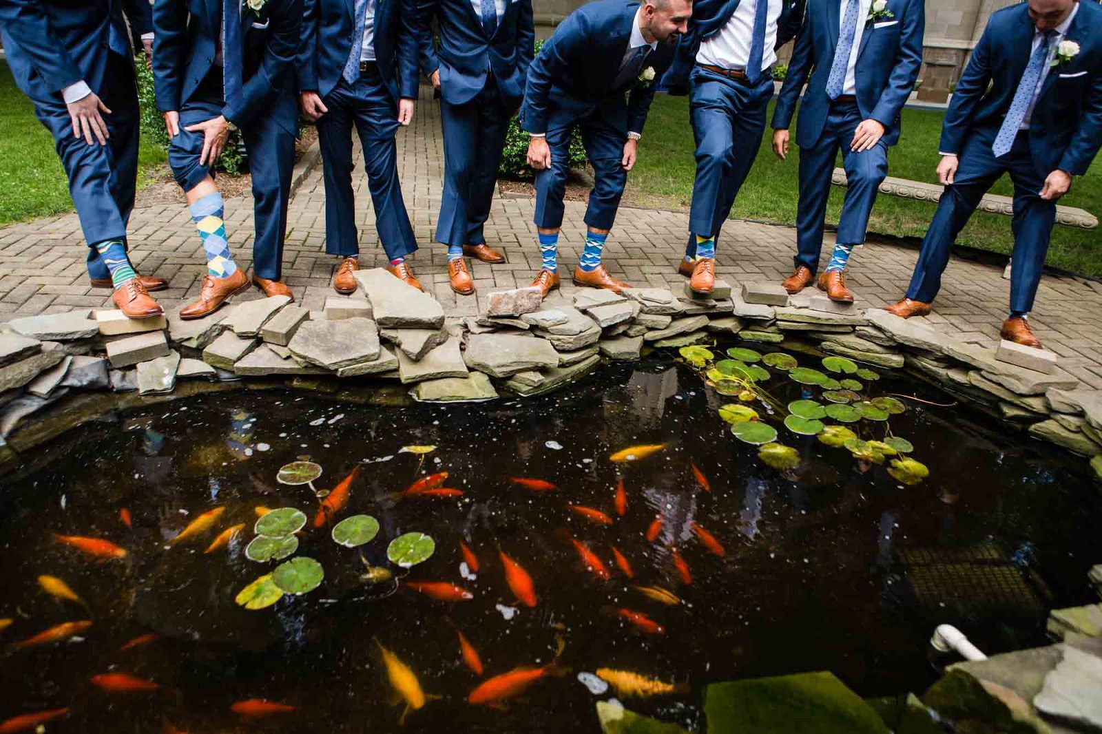 groomsmen show off their fun socks, in front of a pool full of orange fish.