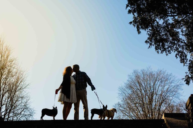 bride and groom kissing in silhouette with their 3 dogs, at sunset in the park
