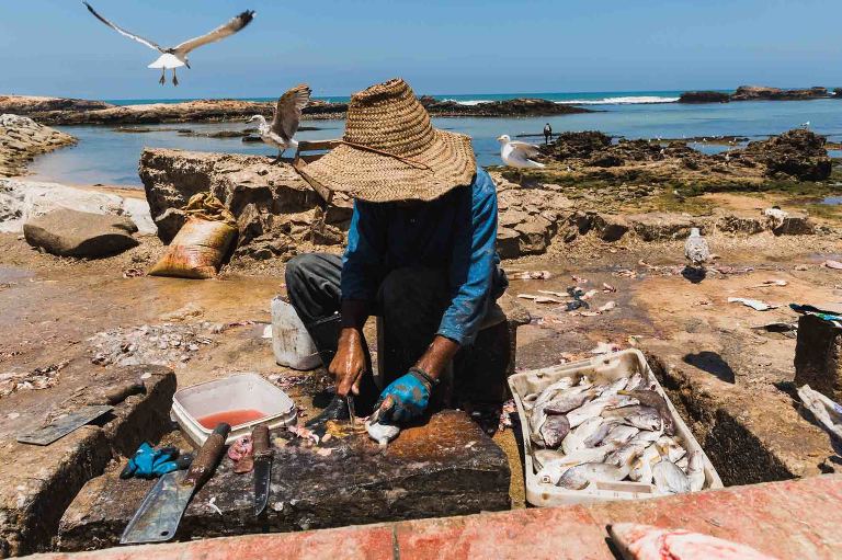 man in straw head, face hidden in the shade, cutting open raw fish, surrounded by the ocean and sea gulls flying around.