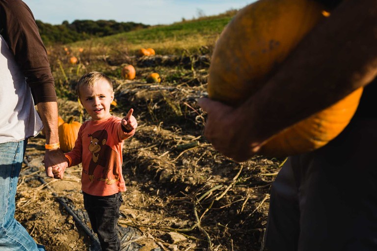 15 Great Pumpkin Patches In Pittsburgh | With MAP! » Pamela Anticole ...