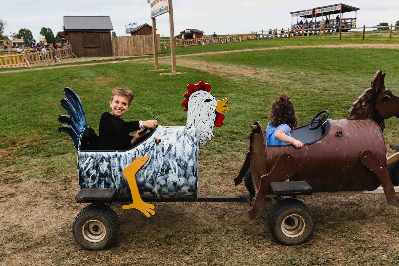 boy having fun riding a chicken ride