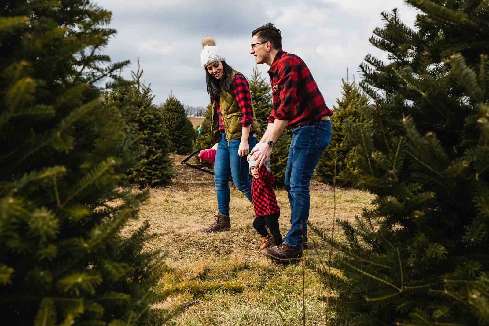 family holds hands and walks through the tree farm, photographed through two christmas trees
