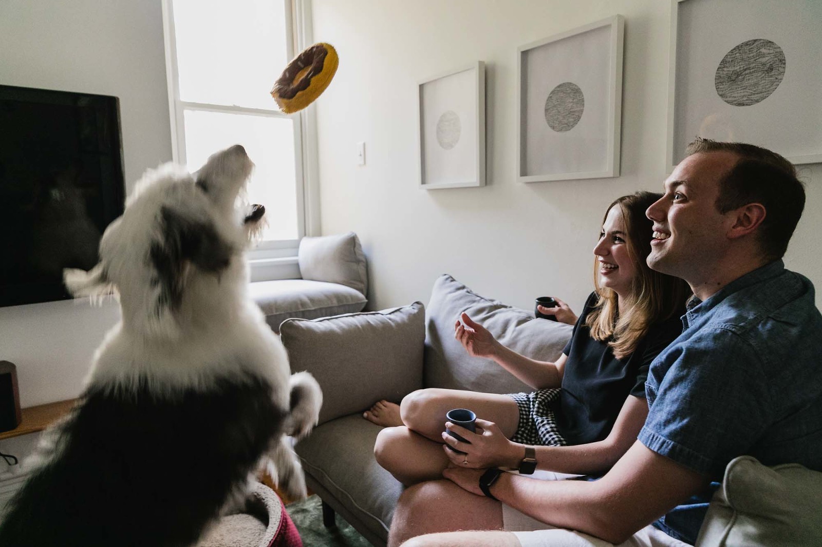 man and woman throw toy in the air to their sheepdog pet, from a living room sofa