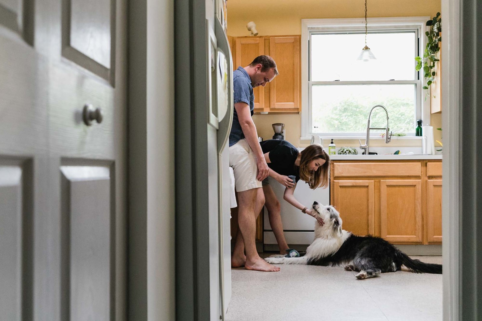 photo of man and woman playing with sheepdog in the kitchen, photographed from the next room