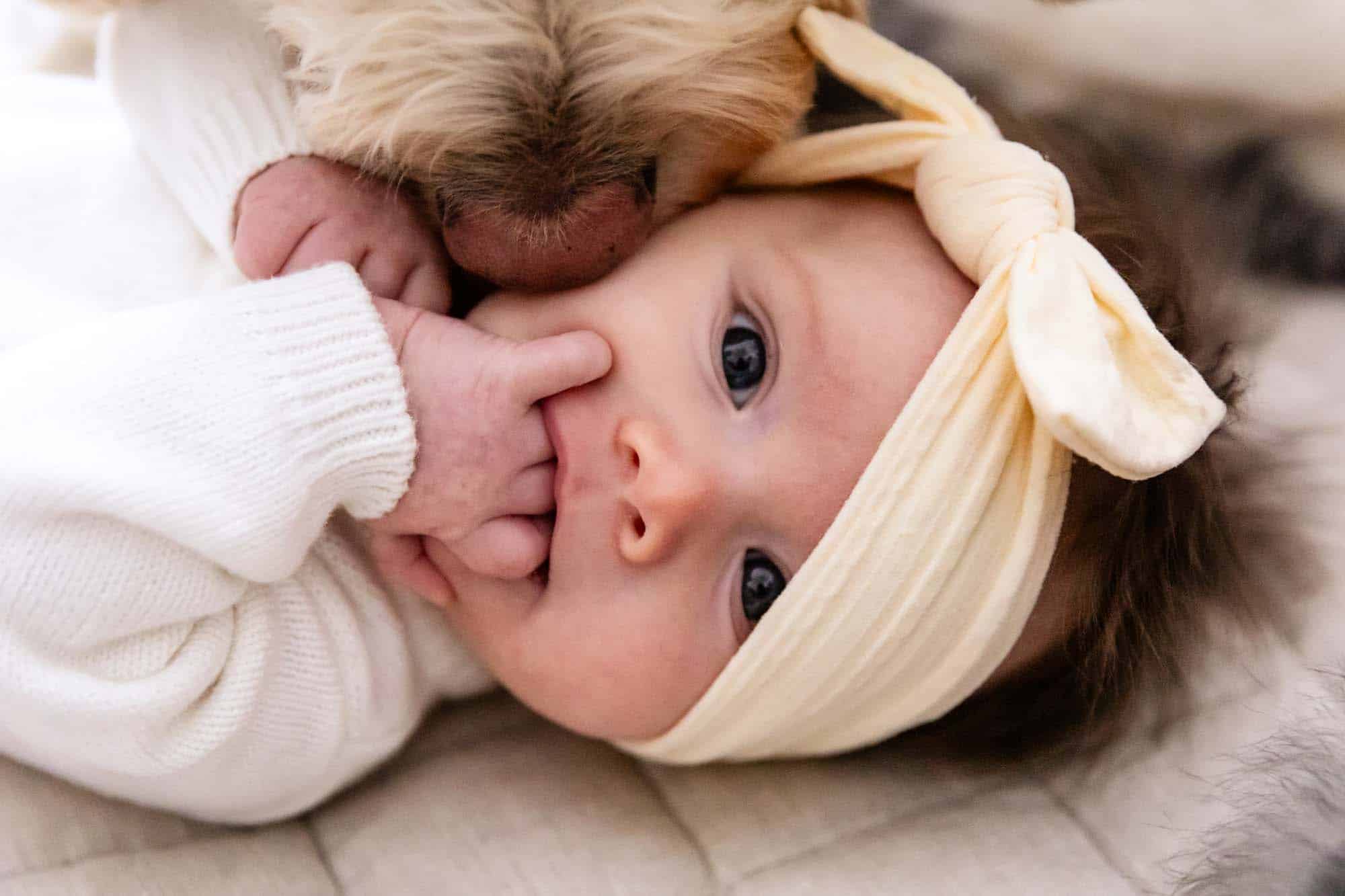 baby girl with fingers in her mouth and bow on her head being sniffed by large dog nose, as captured by pittsburgh newborn photographer pamela anticole