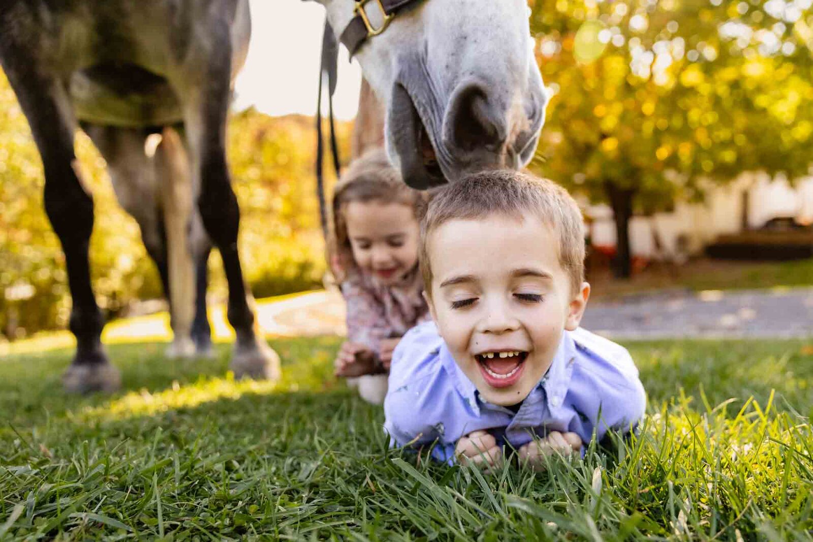 little boy with eyes closed lays on ground as horse sniffs his head