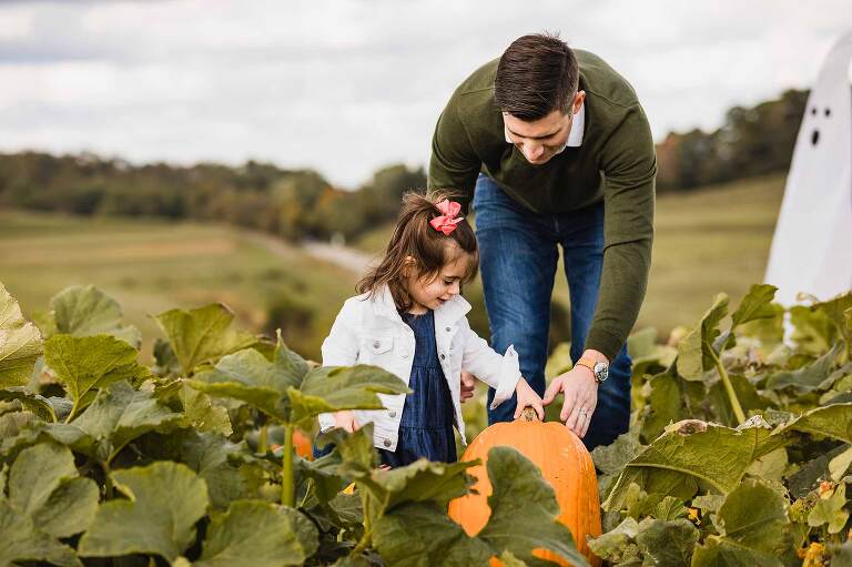 dad and little girl pick a pumpkin, at a unique photoshoot location in pittsburgh: a pumpkin patch!